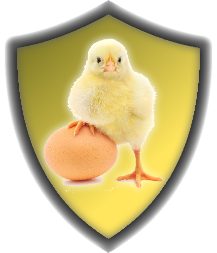 bafge_egg.png bafge_egg.png