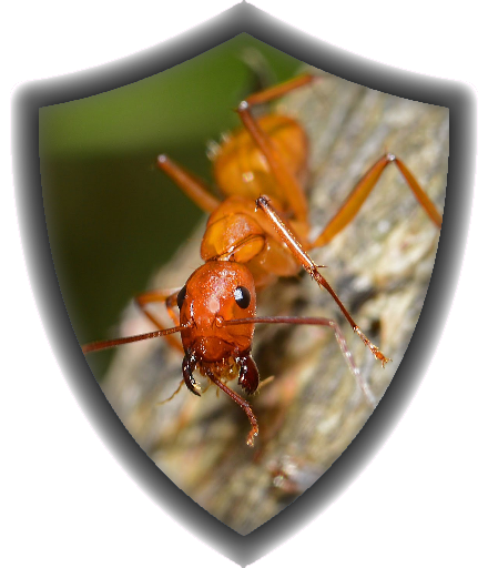 badge_reversaluniversum.png badge_reversaluniversum.png