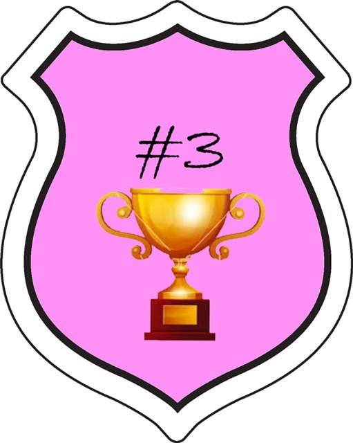 badge_winner3.png badge_winner3.png