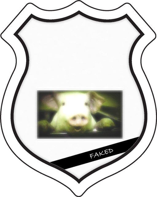 badge_doublefattened_faked.png badge_doublefattened_faked.png
