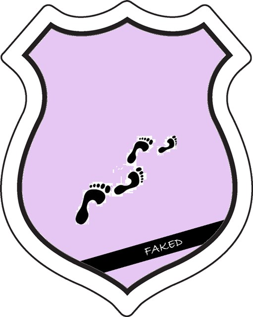badge_stepbystep_faked.png badge_stepbystep_faked.png