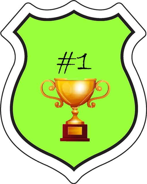badge_winner1.png badge_winner1.png
