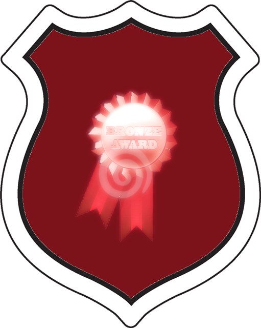 badge_bronzemedal.png badge_bronzemedal.png