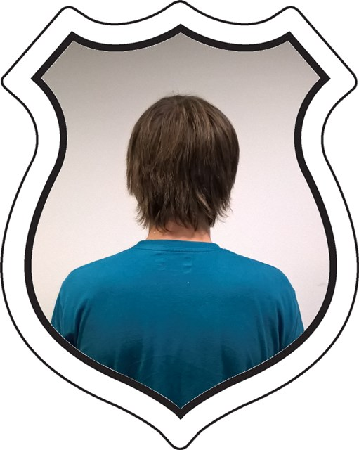 badge_loser2b.png badge_loser2b.png