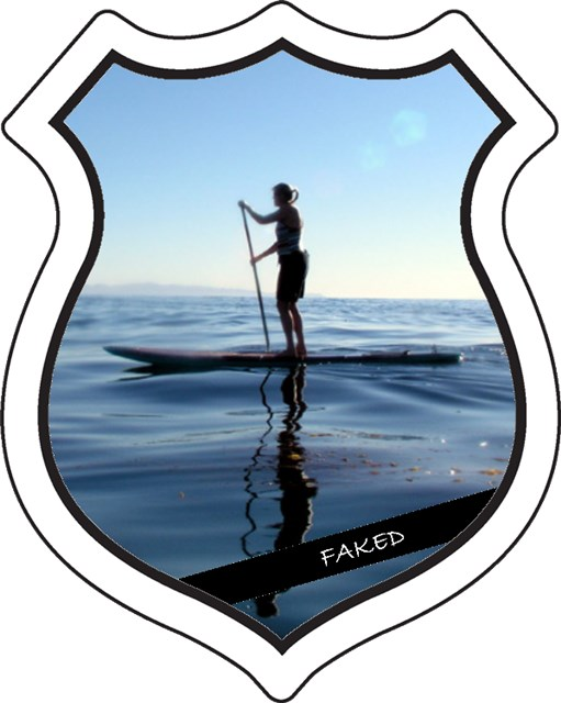 badge_standup_faked.png badge_standup_faked.png