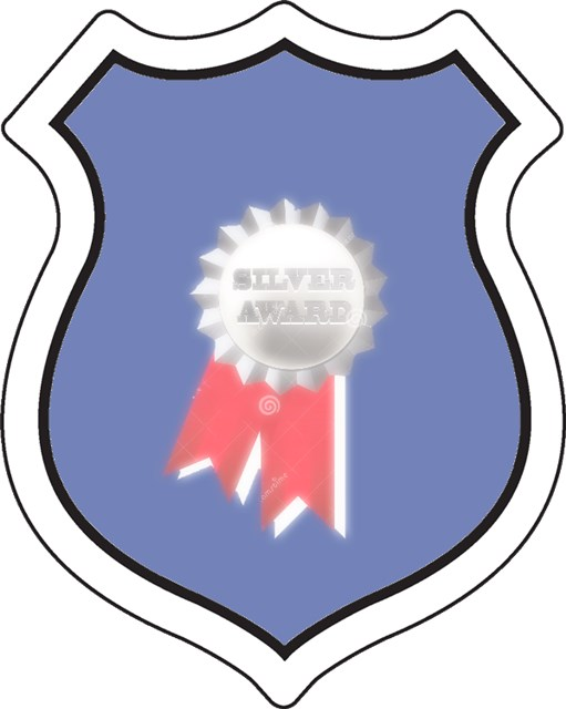 badge_silvermedal.png badge_silvermedal.png