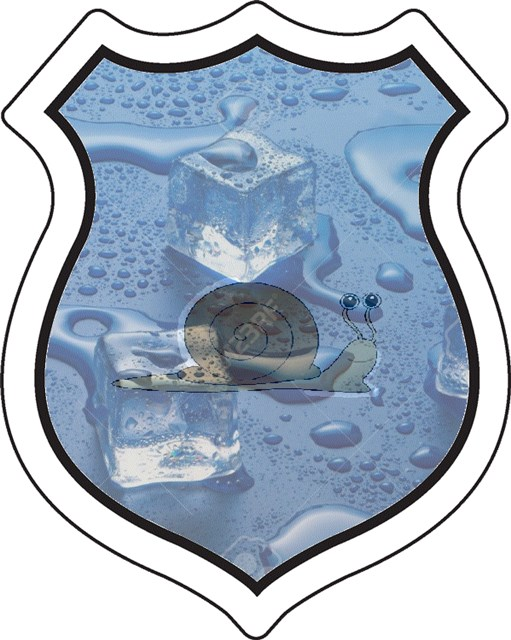 badge_meltingtooslow.png badge_meltingtooslow.png