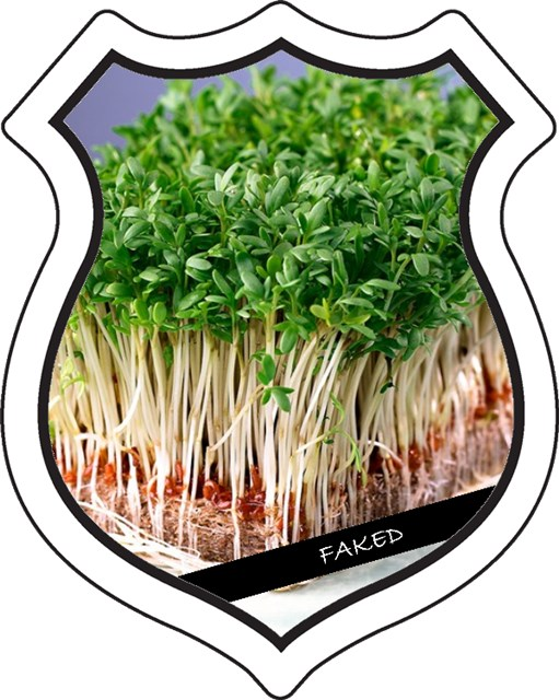 badge_mungomaster_faked.png badge_mungomaster_faked.png