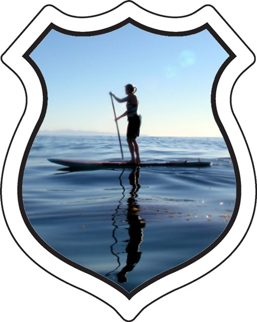 badge_standup.png badge_standup.png